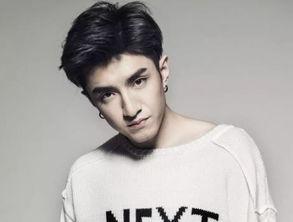 爆料娱乐圈金瀚小说