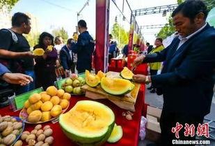 保定最新吃瓜爆料新闻,揭秘神秘事件背后的真相