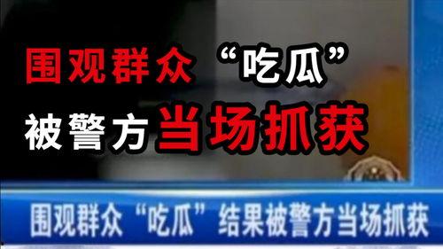 保定最新吃瓜爆料新闻,揭秘神秘事件背后的真相 第2张 保定最新吃瓜爆料新闻,揭秘神秘事件背后的真相 第2张