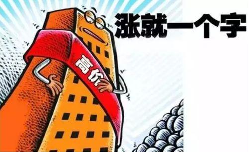 新闻物价爆料有哪些类型,五大常见类型深度解析  第3张