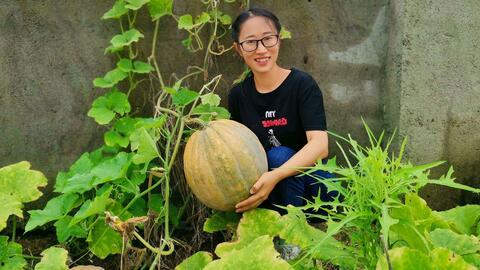 农村宝妈网红吃瓜,揭秘农村网红生活点滴  第2张