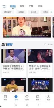 河南电视台直播在线观看,河南电视台在线观看指南  第2张