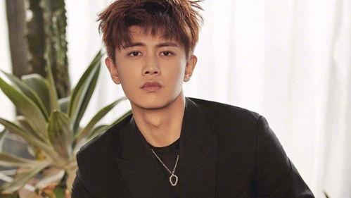 娱乐大爆料魏晨,揭秘明星背后的故事与成长历程 第3张 娱乐大爆料魏晨,揭秘明星背后的故事与成长历程 第3张