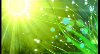 娱乐吃瓜视频背景素材,吃瓜视频背后的精彩故事  第2张