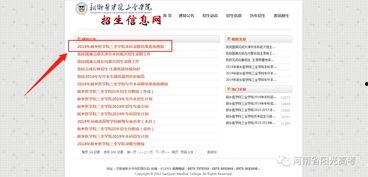 河南高招最新爆料信息网,揭秘录取内幕，揭秘高分考生命运！  第2张