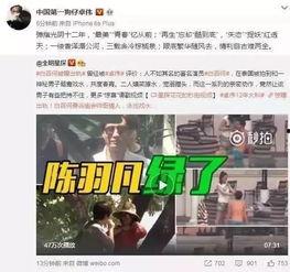 新乡出轨爆料新闻,真相与舆论的交织