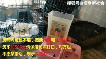 西安女主播爆料新闻,揭秘背后真相 第2张 西安女主播爆料新闻,揭秘背后真相 第2张