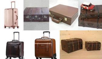 邓州拉杆箱藏尸最新爆料,最新爆料揭露惊人内幕  第3张