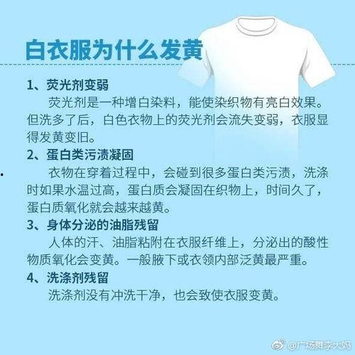 白衣最新爆料视频,揭秘事件背后惊人真相